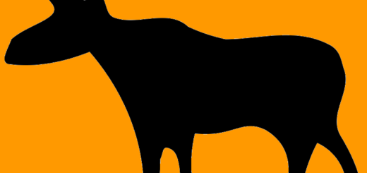 Stumpy Moose logo